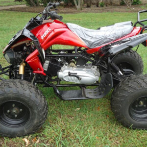 RPS RS200-ATV- 200cc Adult Full Size ATV, Automatic with Reverse, 21-inch front tires