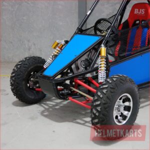 300RS SOLO – Buggy