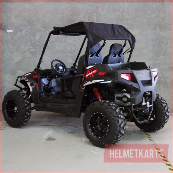 300X - Challenger - UTV Buggy - Image 10