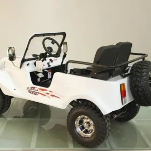 RPS Youth Mini-Jeep, 150cc, 3 Speed Semi Auto Trans, Adjustable Seat