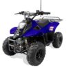 Trailmaster T110 ATV 6''  Kids or Youth sports Hunters style. Great Kids Gift - Image 5