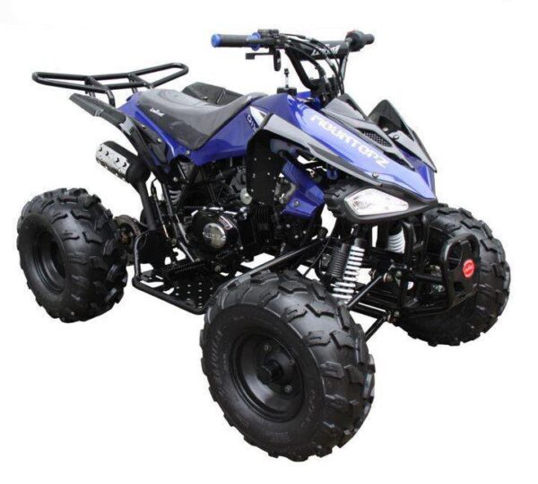 Coolster ATV Deluxe Sport Model 3125CX-2, Top of the class 125cc, Automatic Trans, Hand and foot Brake - Image 10