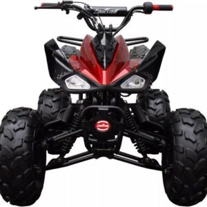 Coolster ATV Deluxe Sport Model 3125CX-2, Top of the class 125cc, Automatic Trans, Hand and foot Brake