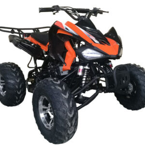 Regency Cougar Sport 200cc Adult ATV, Chrome Rims, Automatic Transmission ages 16-Year-old and Up-CARB