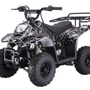 Tao ATV Boulder-B1-110. Off road only, not street legal (Year 2011 Model Only)