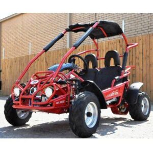 Trailmaster 200XRS Buggy / Go Kart Full Size Youth and Adult cart ages 13 and up.  Off road High Torque Higher Reveving Motor