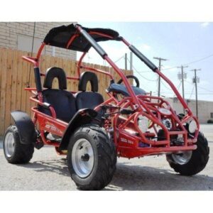 TRAILMASTER Mid XRX/R – Deluxe Go Kart Buggy With Reverse , Full roll cage and safety harness, Ages 10 and up, 196 CC Electric start.